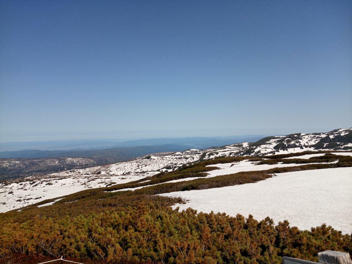 K'S House Hokkaido - Asahidake Onsen Hostel Higashikawa Dış mekan fotoğraf